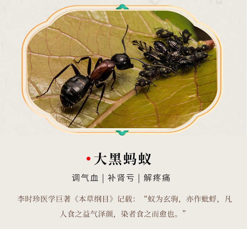 黑坛_07.jpg