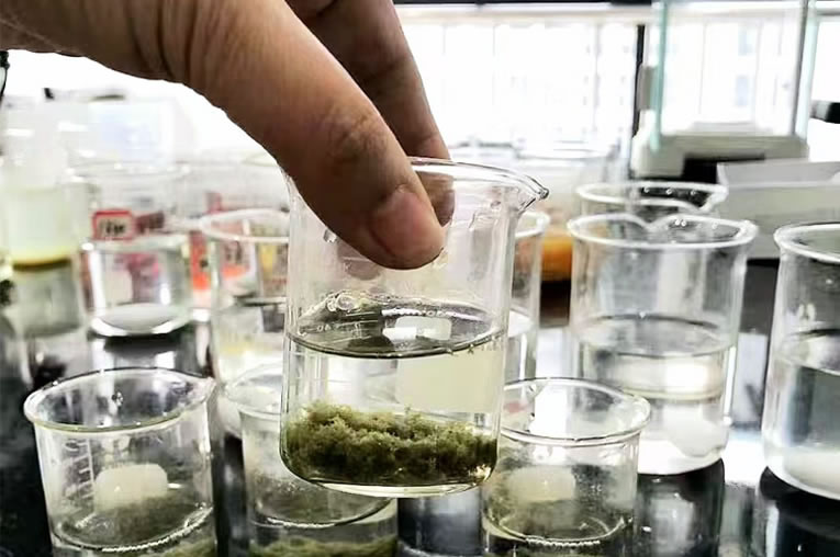 取样检测