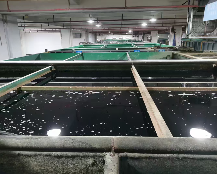 电镀废水解决方案